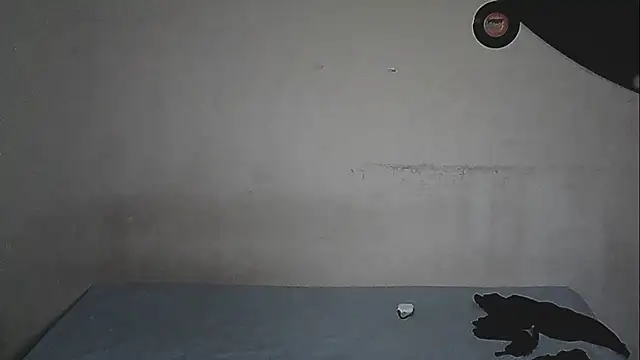 Chat +18 de SunBlackCock ao vivo