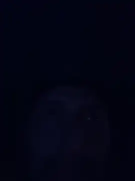 Teasenpleasety: вебкам-шоу
