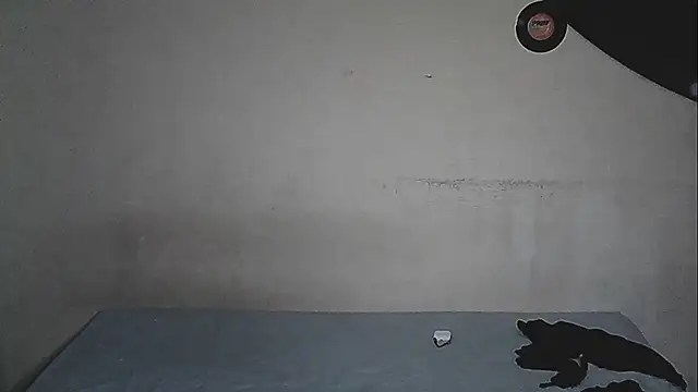 Webkamerová show SunBlackCock