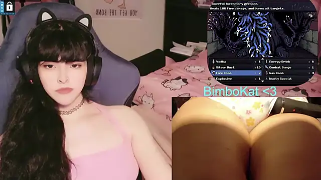BimboCat Show Webcam