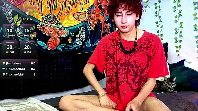 Show Webcam de noynxz