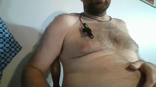 WangDoodle Webcam-Show