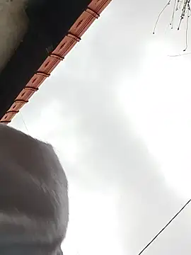 phil_truck_exhib Webcam-Show
