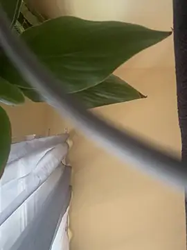 csikar webkamerás műsora