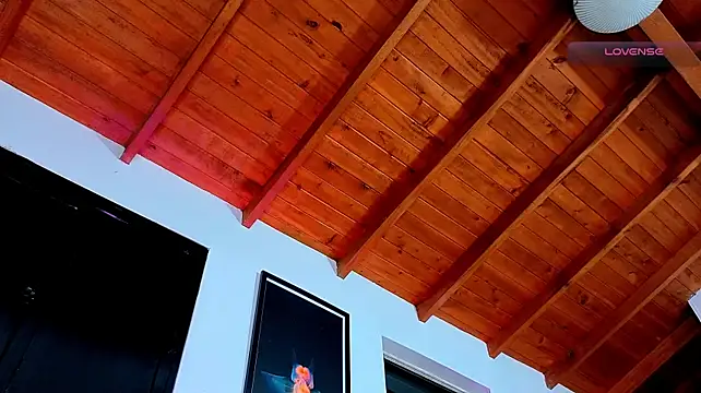 دردشة SilvaBranko الجنسية المباشرة