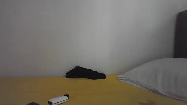 Pertunjukan Kamera Web HotwifeAvcisiOlgunAdam