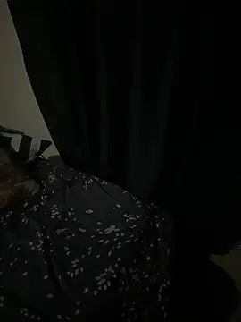elstallionen Webbikameraesitys