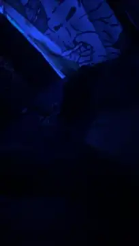 HodgeVibes' Webcam Show
