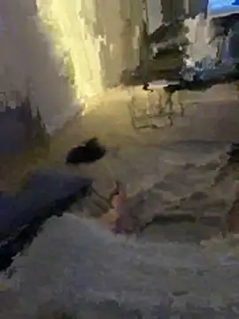 Orarlovr webkamerás műsora