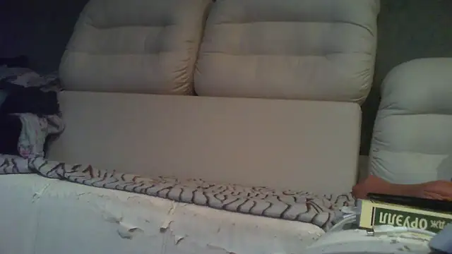 Show webcam de 547animeboy