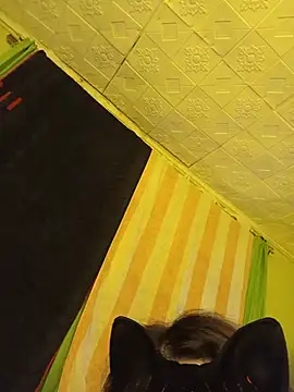 Conejita69n_n 라이브 XXX 채팅
