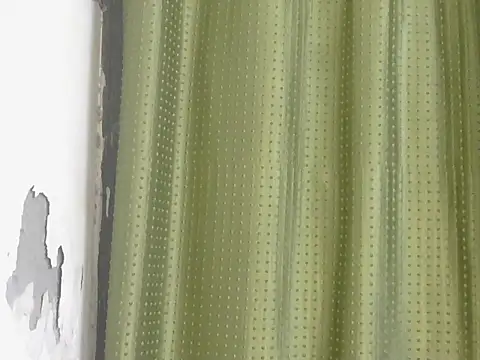 Stubborndesiboy Webcam-Show