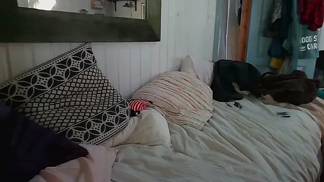 Stock-Holmes Webcam Show