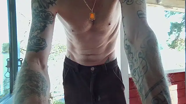 Stock-Holmes webcam show