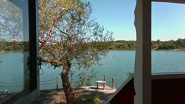 Show Webcam de Stock-Holmes