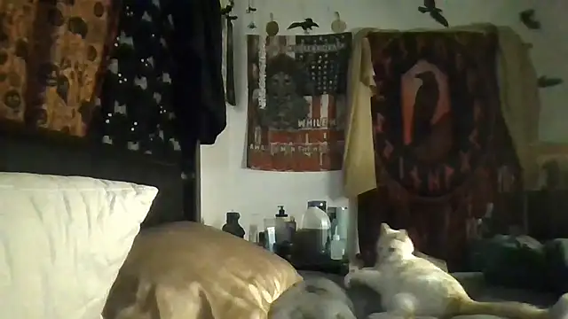 Chatroom XXX en direct de ThorsonFreja