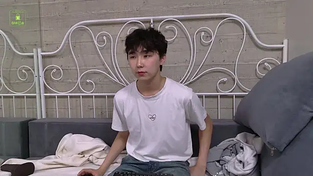Show Webcam de HeejinWang