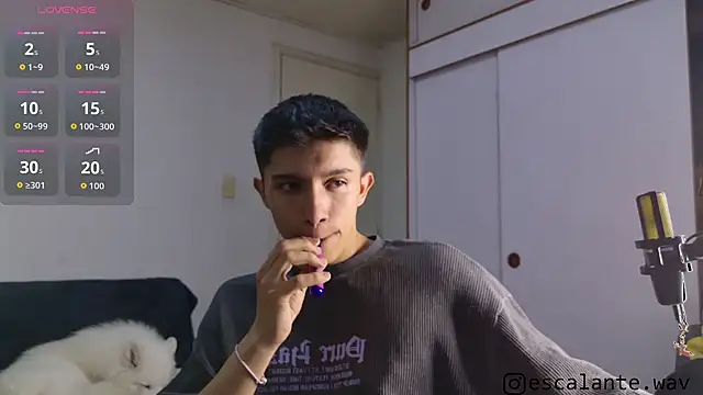 Thesaint_xxx 라이브 XXX 채팅