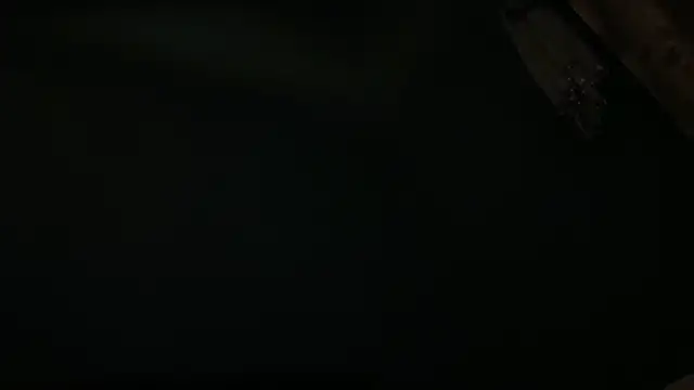 icebergslim281 – Live XXX-chat
