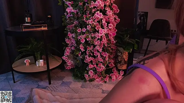 VelvetZephra 即時 XXX 聊天