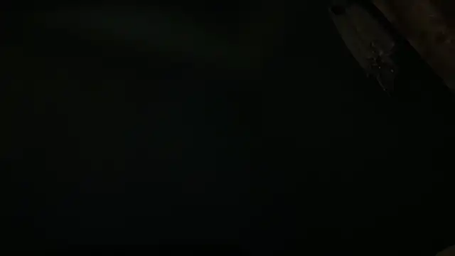 icebergslim281 라이브 XXX 채팅