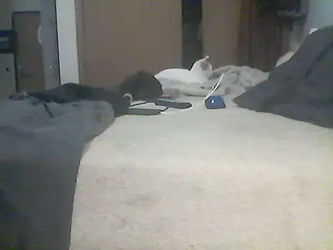 Silencio26's Live XXX Chat