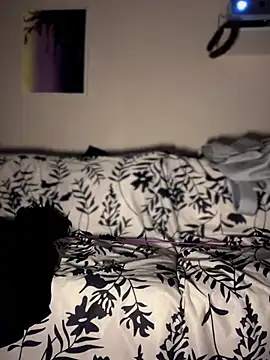 Toffee-00 – Naživo XXX chat