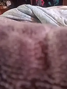 WiseDi Webcamshow