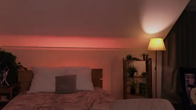 LisaaLiss 라이브 XXX 채팅