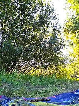 LeticiaWoods Chat XXX live