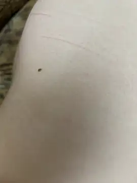 JuicyGamess 라이브 XXX 채팅