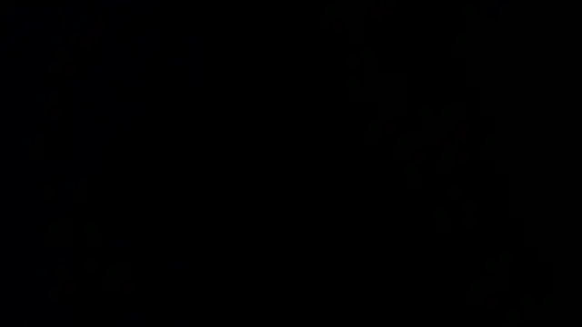 Show Webcam de Damian64420