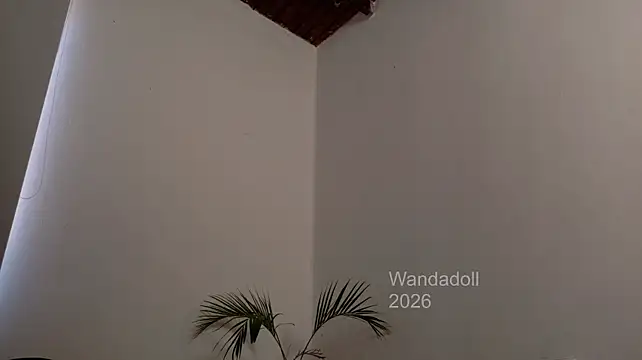 WandaDoll 现场XXX聊天