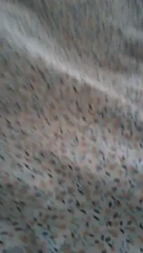 XXX chat uživo modela Rasbodao