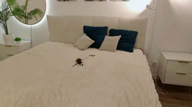 Chat XXX ao vivo de sabelle