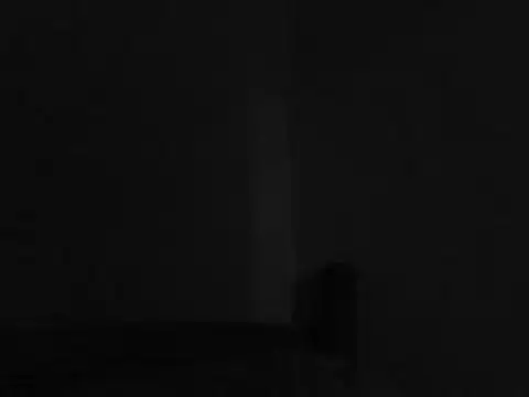 Foxboy65 Live XXX-chat