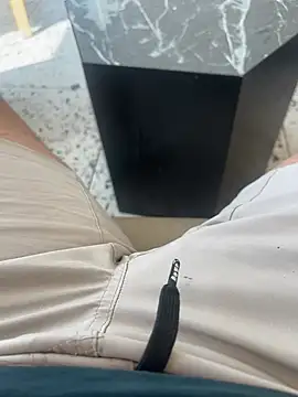 Show webcam de themasteer69