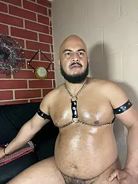Онлайн чат XXX the_master_foal_