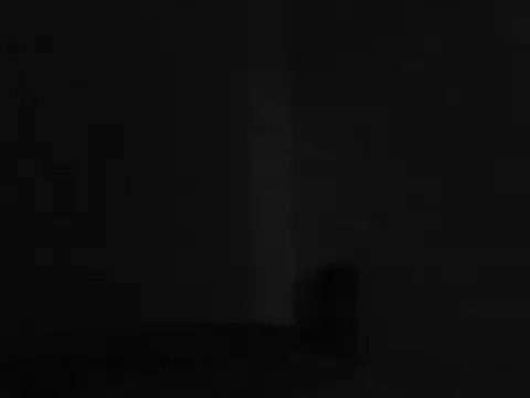 Foxboy65 Chat XXX in diretta