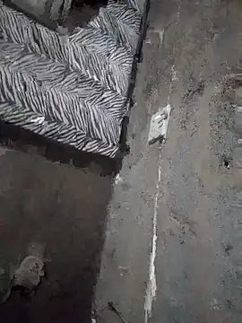 WiseDi webcam show