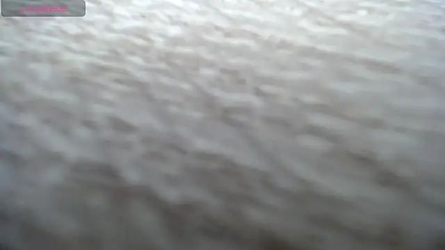 Živý XXX chat DAPHNE_doll
