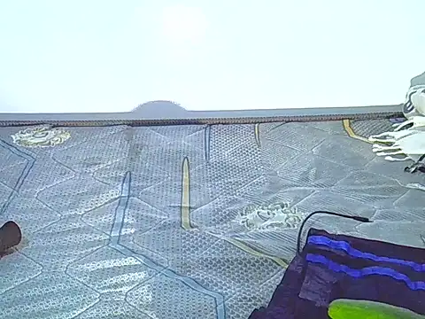 SurXperience 라이브 XXX 채팅