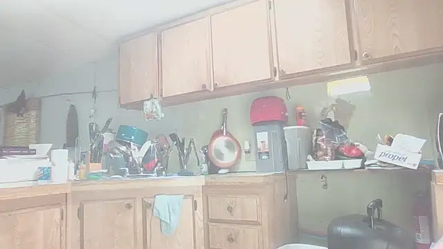 Онлайн чат XXX Yankeedave420