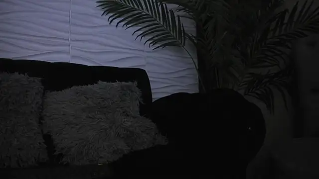 Pavo_tv 라이브 XXX 채팅