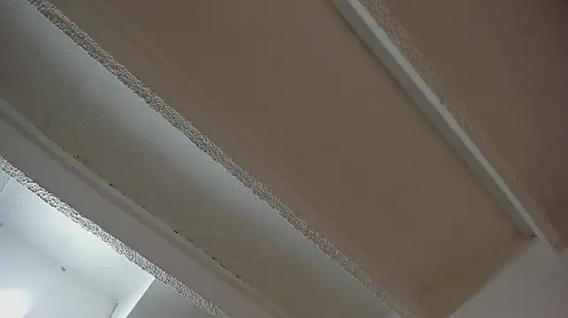 NayaWayne's Live XXX Chat