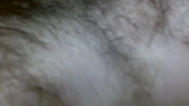 BlueEyedJason Live XXX-Chat