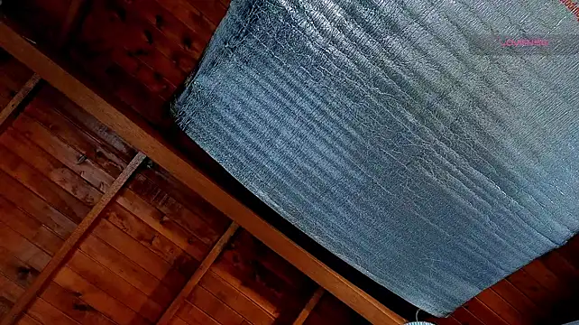 دردشة SilvaBranko الجنسية المباشرة