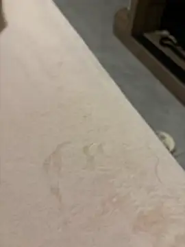 JJTYXBC 网络视讯表演