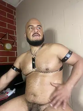 Chat +18 de the_master_foal_ ao vivo