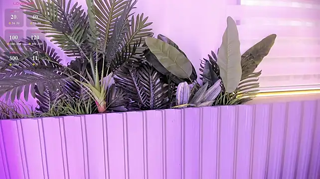 XXX chat uživo modela stephanymonroe